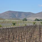 Temecula_0069 ()